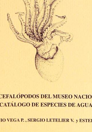 imagen imagen_portada.jpg