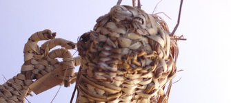 La Pincoya (en detalle)