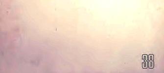 imagen imagen_portada.jpg