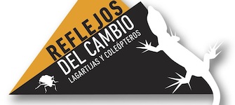 imagen imagen_portada.jpg