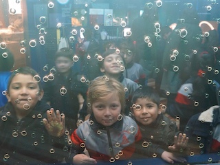 Programa de Visitas Educativas al Museo