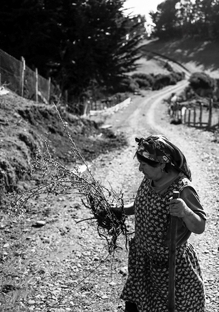 Detalle de fotograf�a de Luis Sergio