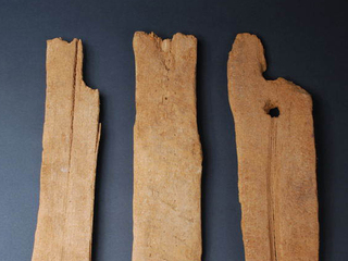 imagen imagen_portada.jpg