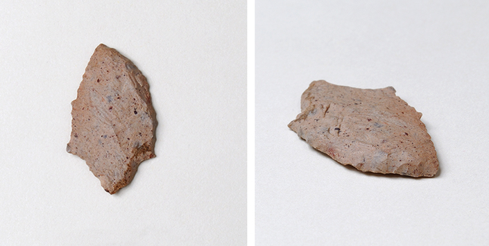 Punta de proyectil de slice