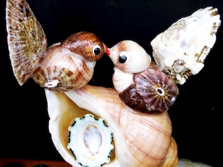 imagen imagen_portada.jpg