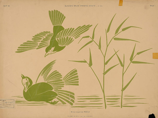 Disciplinar el gusto: la ense�anza de Arte y Dibujo