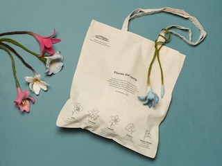 Exposici�n: Manos Artesanas y Dise�o