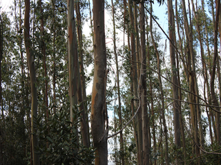 imagen imagen_portada.jpg