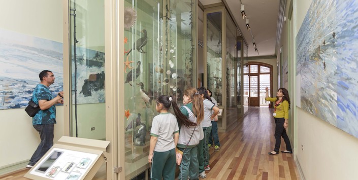 Museo de Historia Natural de Valparaso