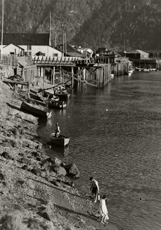 Paisaje de bordemar de Aysn