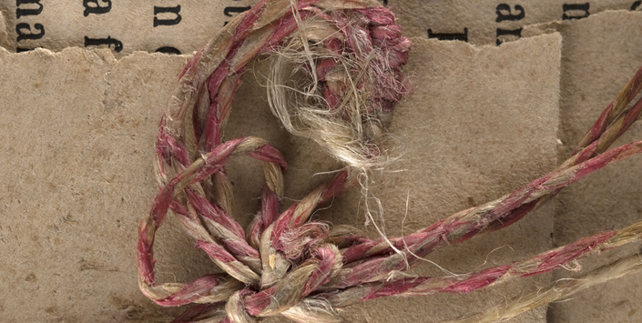 Archivo CNCR. Fotograf�a V. Rivas