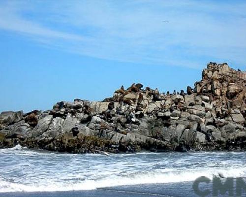 Imagen del monumento Los islotes Lobería y lobería Iglesia de Piedra