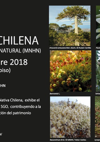 imagen imagen_01.png