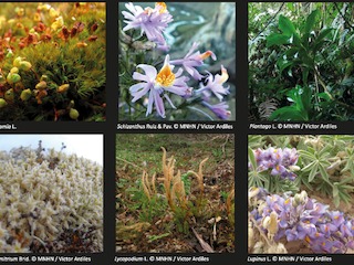 imagen imagen_portada.png