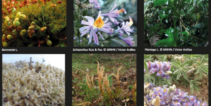 imagen imagen_portada.png