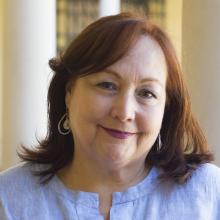 Imagen de Director del Museo Histórico Nacional (S)