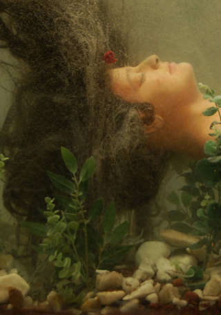 Detalle de obra de Iv�n Zambrano