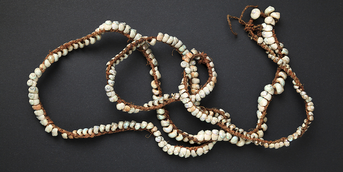 Collar de Margarella violacea