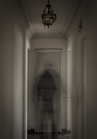 imagen imagen_portada.jpg