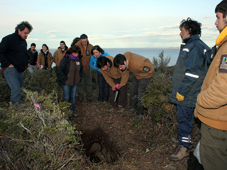 Hallazgo de cementerio hist�rico de Fuerte Bulnes