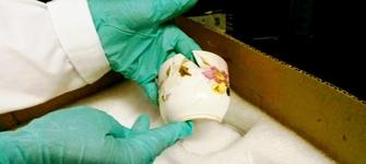 imagen imagen_01.jpg