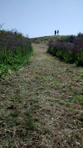 Sector del Cerro Puntilla de Los Perales Imagen del monumento Sector del Cerro Puntilla de Los Perales