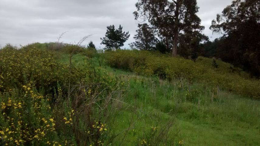 Sector del Cerro Puntilla de Los Perales Imagen del monumento Sector del Cerro Puntilla de Los Perales