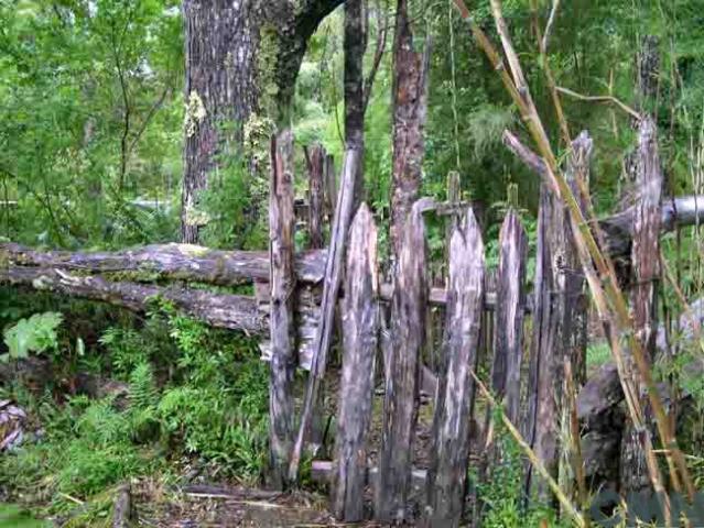 Imagen del monumento Isla de Los Muertos