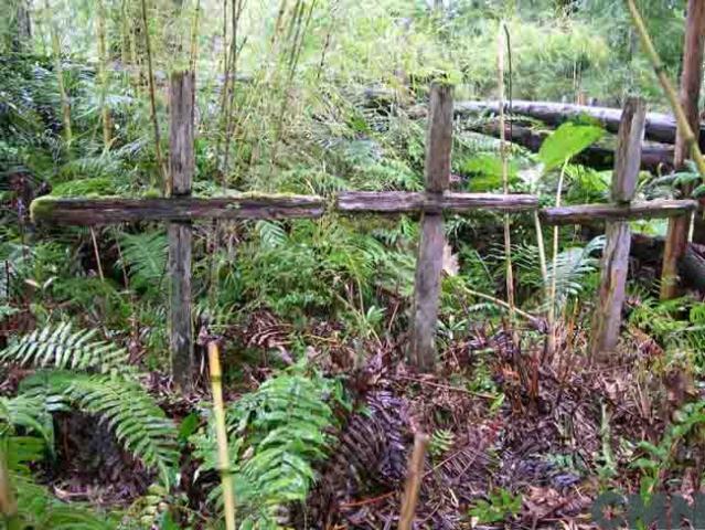Imagen del monumento Isla de Los Muertos