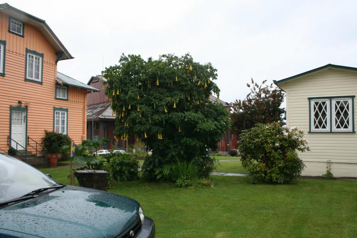 Imagen del monumento Frutillar Bajo