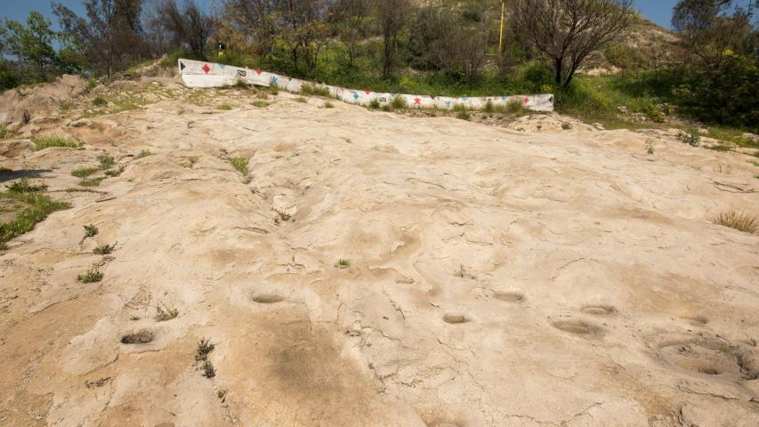 Imagen del monumento Plazoleta de piedras tacitas
