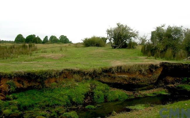 Imagen del monumento Sector predio Monte Verde