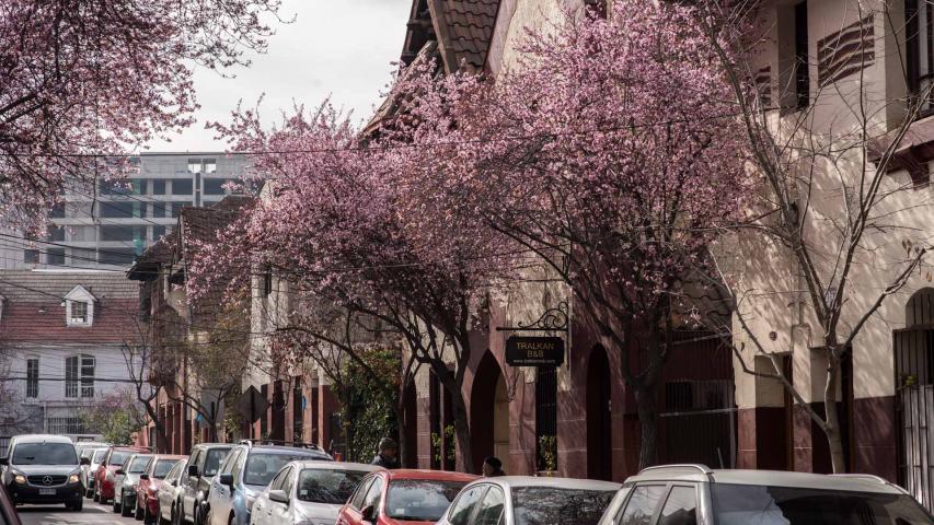 Ex Población William Noon Imagen del monumento Ex Población William Noon