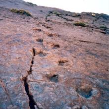 Imagen del monumento Sitio donde se conservan huellas de animales extinguidos en el lugar denominado &quot;Termas del Flaco&quot;