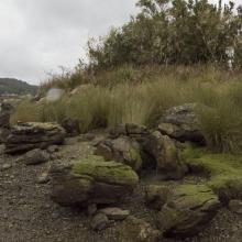 Imagen del monumento Corrales de Pesca y Conchales Arqueológicos ubicados en la Isla Chala