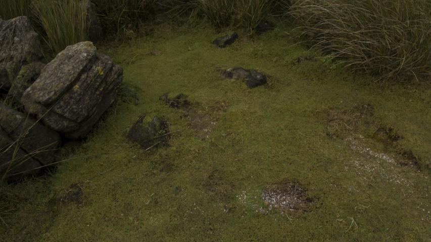 Imagen del monumento Corrales de Pesca y Conchales Arqueológicos ubicados en la Isla Chala
