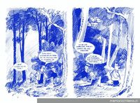 Qué lindo es el Sur ...