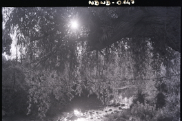 Contraluz en río Choapa, en la localidad de Salamanca.