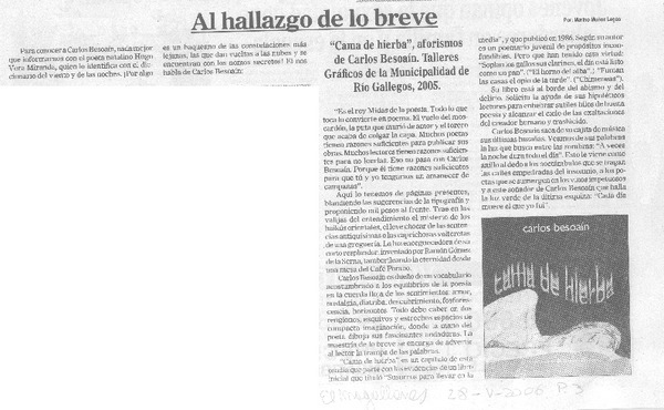 Al hallazo de lo breve