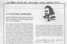 A ojo de Ariel Fernández  [artículo] Ariel Fernández