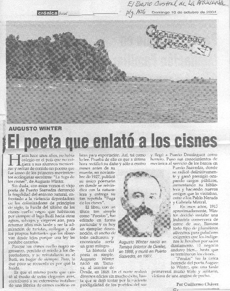 Augusto Winter el poeta que enlató a los cisnes