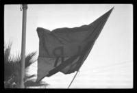 [Personajes] Manifestaciones 1973