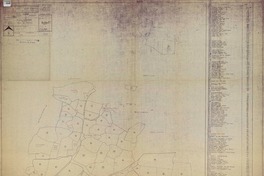 Plano castastral rural Isla de Pascua  [material cartográfico] Ministerio de Tierras y Colonización, Dirección de Tierras y Bienes Nacionales. Departamento de Mensura.