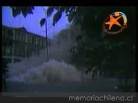 A 20 años del terremoto de 1985