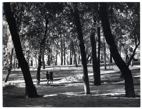 Parque Forestal Parque Forestal