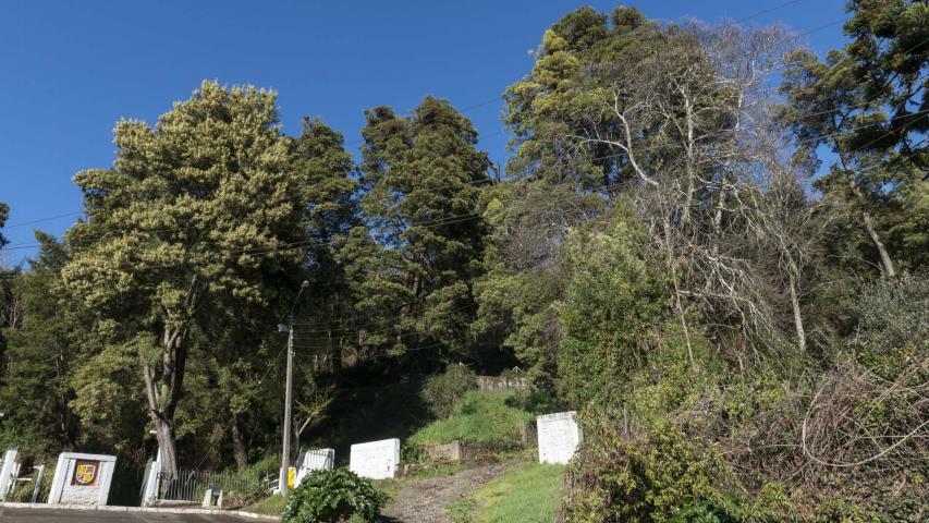 Imagen del monumento Cerro Colo Colo