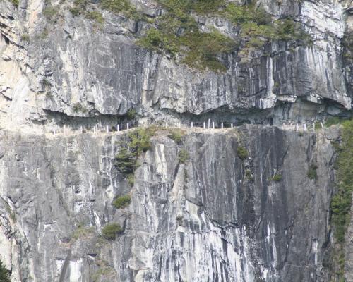 Imagen del monumento Paso San Carlos