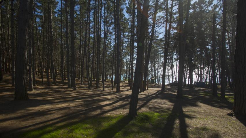 Imagen del monumento Sector Canelo - Canelillo