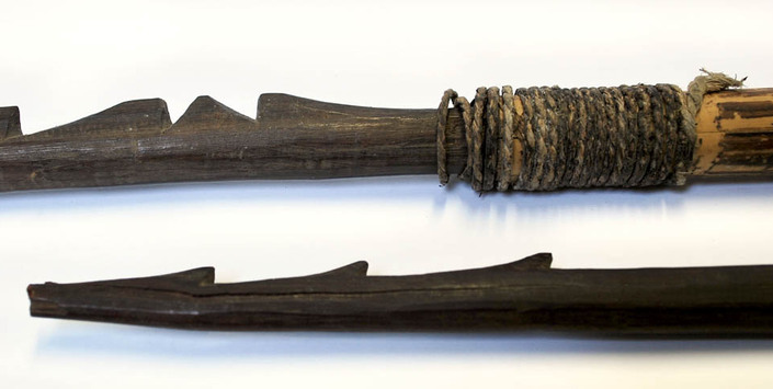 Museo de Historia Natural de Concepción