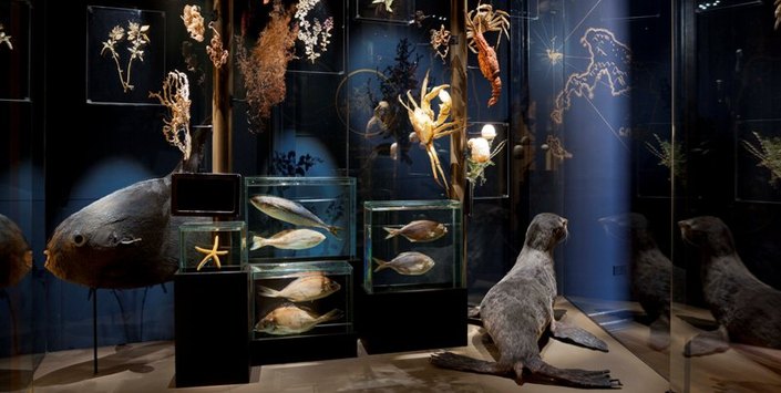 Biodiversidad en la región central